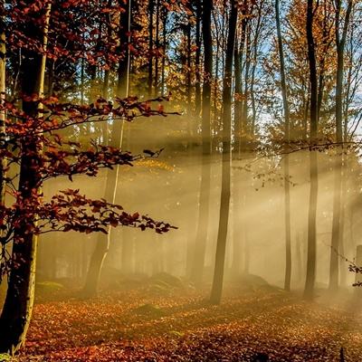 香港今晚六给彩开奖结果手机app下载