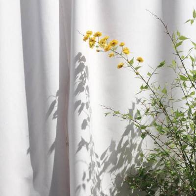 丰禾棋牌下载手机版